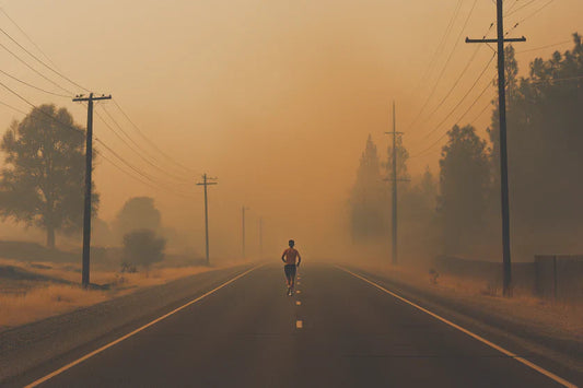 Brazil’s Wildfires and Drought: A Wake-Up Call for Sustainable Businesses